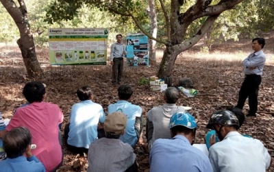 Hội Nông dân xã Bù Nho, huyện Phú Riềng (Bình Phước)  phối hợp tổ chức hội thảo chuyển giao KHKT, hướng dẫn phòng trừ sâu bệnh hại trên cây điều