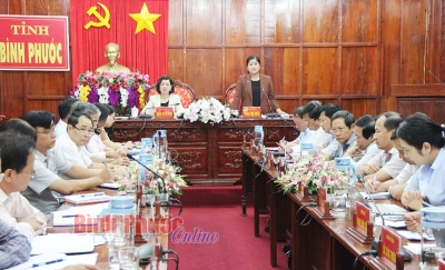 Phó bí thư Tỉnh ủy, Chủ tịch UBND tỉnh Trần Tuệ Hiền phát biểu chỉ đạo cuộc họp