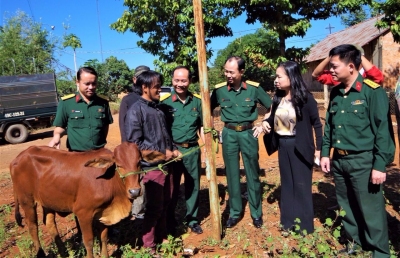 Lãnh đạo Binh đoàn 16 và Ủy ban MTTQVN tỉnh Bình Phước trao tặng bò cho người nghèo