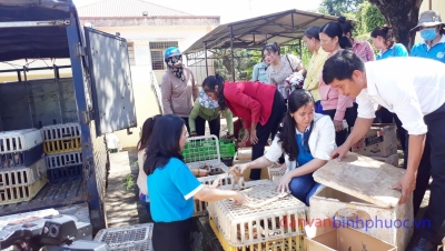 Hội LHPN huyện Hớn Quản trao tặng sinh kế (gà giống, cám và vắcxin) đến Hội viên Phụ nữ nghèo xã kết nghĩa Thiện Hưng huyện Bù Đốp