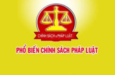 Hình minh họa