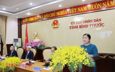 Đồng chí Trần Tuệ Hiền – Chủ tịch UBND tỉnh phát biểu tại hội nghị trực tuyến xúc tiến đầu tư với Nhật Bản