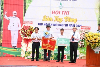 CÔNG TY TNHH MTV CAO SU LỘC NINH SÔI NỔI HỘI THI “BÀN TAY VÀNG” THU HOẠCH MỦ NĂM 2022