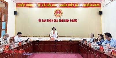 Ủy viên Ban Thường vụ Tỉnh ủy, Phó Chủ tịch UBND tỉnh Trần Tuyết Minh phát biểu chỉ đạo  tại cuộc họp Thường trực Ban chỉ đạo chuyển đổi số tuần 45/2022(Ảnh: Báo Bình Phước online)