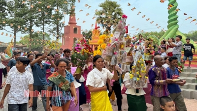 Đồng bào Khmer mang cây bông đến chùa Bồ Đề, xã Nha Bích, thị xã Chơn Thành