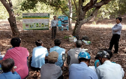 Hội Nông dân xã Bù Nho, huyện Phú Riềng (Bình Phước)  phối hợp tổ chức hội thảo chuyển giao KHKT, hướng dẫn phòng trừ sâu bệnh hại trên cây điều