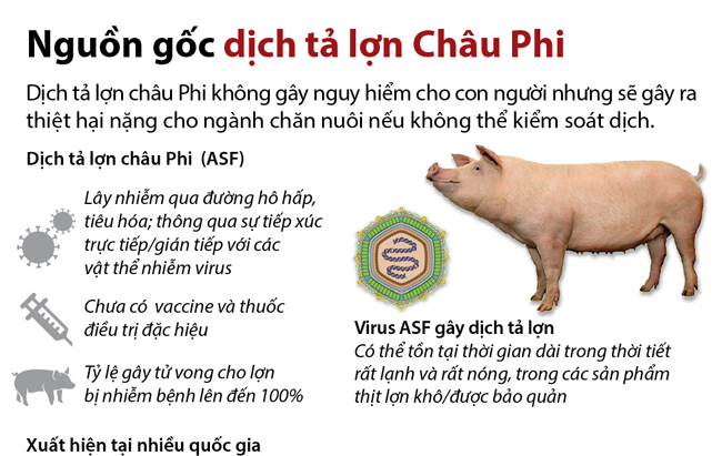 Nguồn gốc bệnh Dịch tả lợn Châu phi.(nguồn Internet)