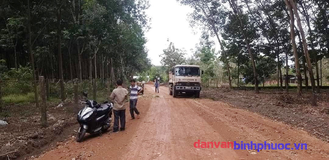 Nhân dân xã Tân Lập, huyện Đồng Phú hiến cây, hiến đất làm đường