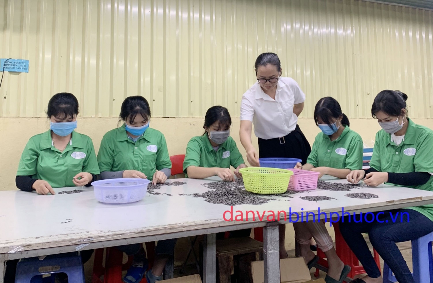 Đồng chí Nguyễn Thị Toan trong giờ làm việc