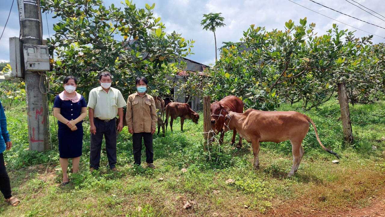 Lãnh đạo Phòng LĐTB&XH huyện Bù Đăng trao bò giống cho các hộ đồng bào DTTS  xã Đường 10 đăng ký thoát nghèo năm 2021